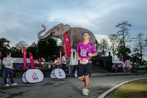 BIB: 
                            <button type="button" onclick="openModal(26529431)" class="btn btn-primary btn-sm float-right btn-popup" data-toggle="modal" data-target=".modal-high-quality">
                        <i class="fas fa-shopping-cart"></i> Add to Cart
                    </button>
                                            <button type="button" onclick="isThisMe(26529431, true)" class="btn btn-success btn-sm float-right btn-popup btn-isme hidden" data-toggle="tooltip" data-placement="bottom" title="นี่คือรูปของคุณใช่ไหม คลิกที่นี่เพื่อเอาเข้าอัลบั้ม">
                        <i class="fas fa-plus"></i> Add to album
                    </button>
                    <button type="button" onclick="isThisMe(26529431, false)" class="btn btn-warning btn-sm float-right btn-popup btn-isnotme hidden">
                        <i class="fas fa-ban"></i> Remove from album
                    </button>